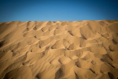 האביב בא: גלריה צחיחה מהנגב המערבי