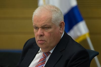 רונן פלוט