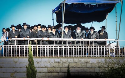 שבת שבע ברכות לנכד האדמו"ר מגור
