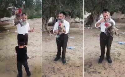 כפרות, גרסת ראב"ד תוניסיה