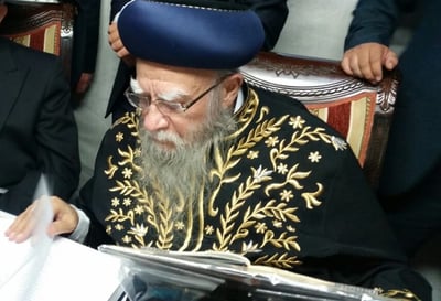 'הקבלת פני רבו' בסוכת זקן הראשלצי"ם
