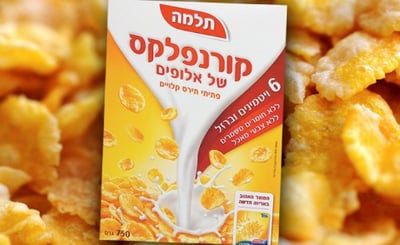 תלמה. אלופים בהסתרות?