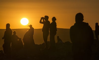 עיראק: מאה גופות כרותות ראש התגלו במוסול