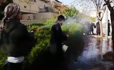 כך פיזרה אשה חרדית את הסיקריקים. צפו