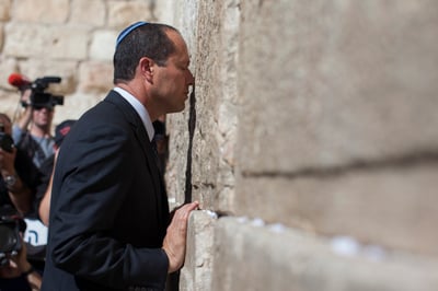 ברקת בכותל. ארכיון