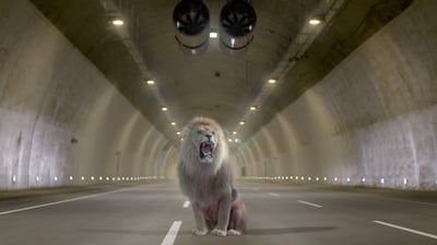 פתיחת המנהרות: כביש 1 יחסם לתנועה