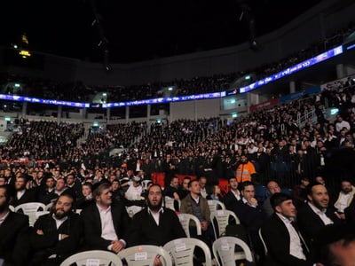 אירוע בארנה, ארכיון