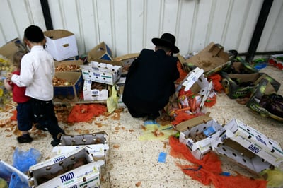 פירות השיטה הנוכחית. אילוסטרציה