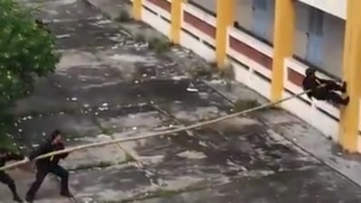 מפתיע: השיטה העתיקה והיעילה לטיפוס על חומות