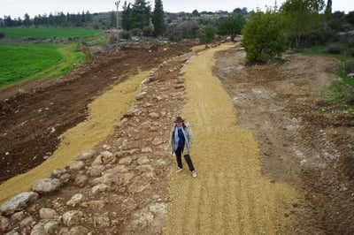 זילברבוד באתר החפירה