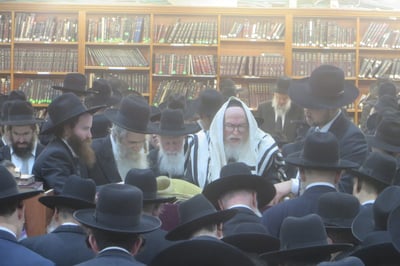 קריאת המגילה בפוניבז'