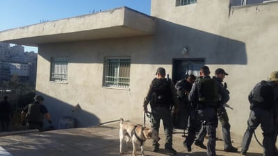 כוחות המשטרה בכפר