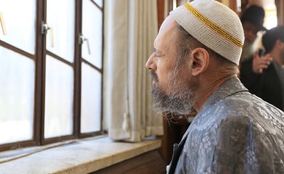 הרב דב קוק