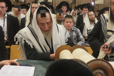 הגר"ש אינשטיין זצ"ל