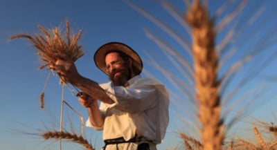לוח ספירת העומר. טרה. אילוסטרציה