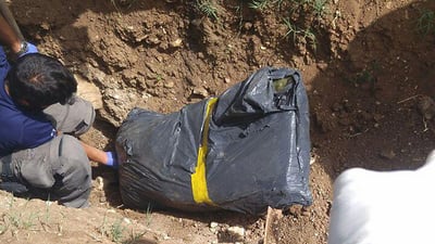 השקית שנמצאה