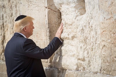 טראמפ, ארכיון