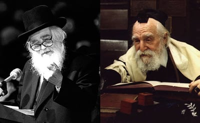 מרנן הגר"מ פיינשטיין והגרא"מ שך זצ"ל