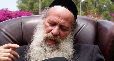 שולי רנד