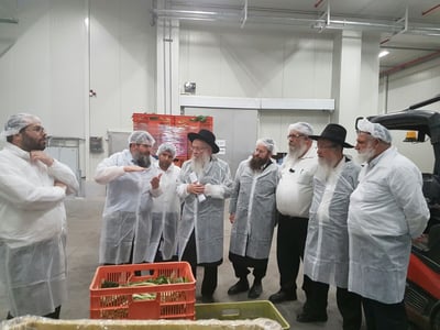 הרב אפרתי במפעל החדש של חסלט.