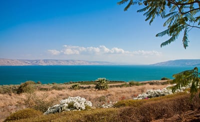 מלון כינר על שפת כנרת. אילוסטרציה