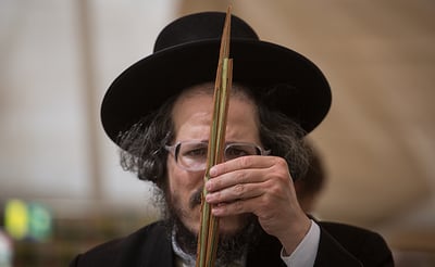 בחירת לולב