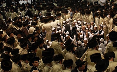 מדריך 'כיכר השבת' • כל אירועי חג הסוכות ושמחות בית השואבה