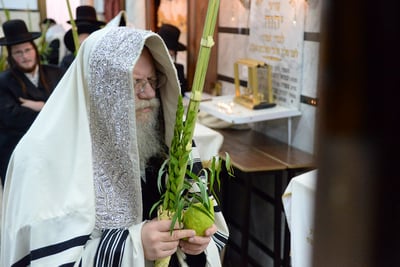 האדמו"ר ממודז'יץ