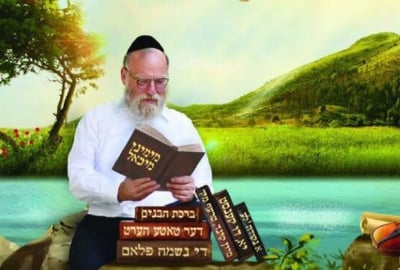 מיכאל שניצלער: "מימיני מיכאל" - ביקורת