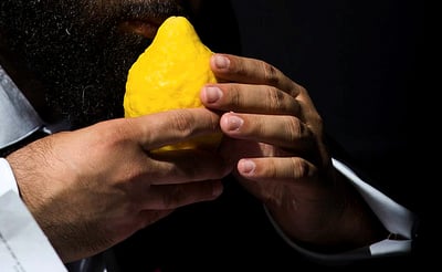 אתרוג. ארכיון