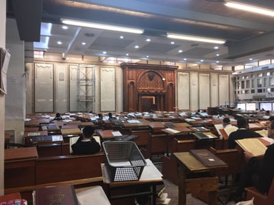 הקיר החדש