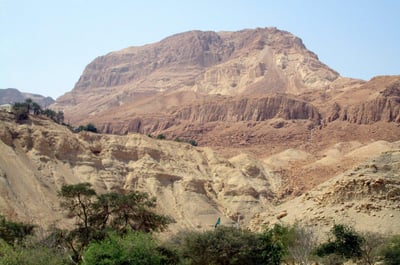 עין גדי