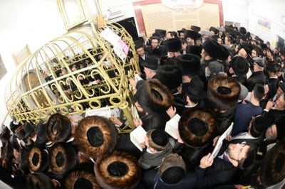 ההילולא בליז'ענסק. ארכיון
