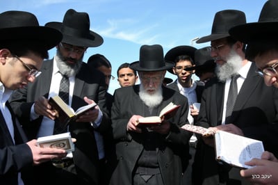 הבוקר: נשיא המועצת בירך "ברכת האילנות" • תיעוד