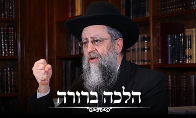 השיעור השבועי של חבר 'המועצת' הגר"ד יוסף: הלכות זמן ביעור חמץ ומכירת חמץ