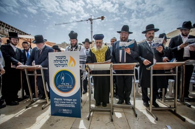 'יום השחרור וההצלה' נחגג בעצרות בעולם