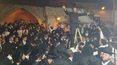 ריקוד הסולמות בהילולת דוד המלך  • צפו
