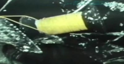 לראשונה לאחר 50 שנה: השרידים של דקר