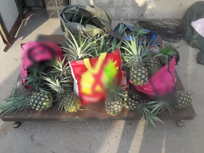 השלל הגנוב