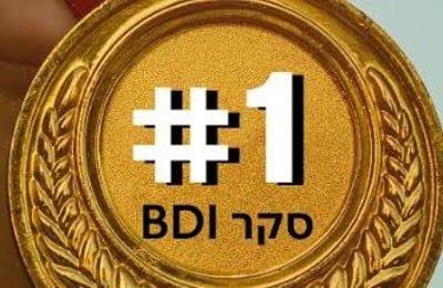 זינוק לפרטנר.