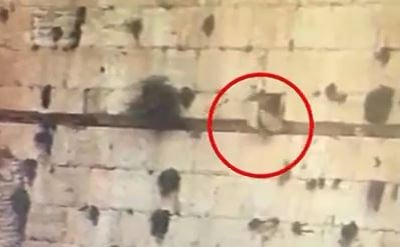 חריג ונדיר: אבן נפלה מהכותל המערבי • צפו