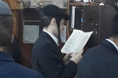 בציון רבי נחמן באומן: מוטי שטיינמץ • תמונות