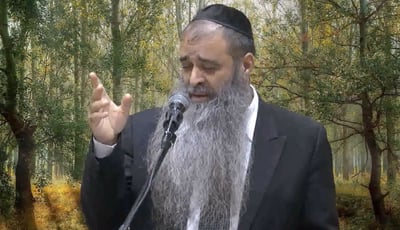 הרב רפאל זר בפינה על פרשת ניצבים • צפו