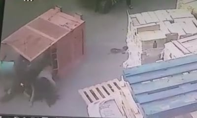 הסיע נערות בתוך ארגז מלגזה, גרם לפציעתן ונעצר