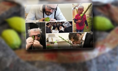 ארבעת המינים ברחבי העולם