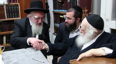 דבריו של מרן הגאון רבי חיים קנייבסקי