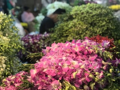 סיור דרך המצלמה לשוק הפרחים של בנגקוק