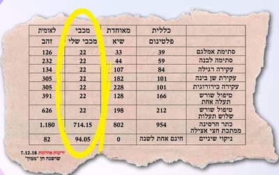 בדיקת ממון