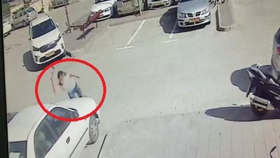 תיעוד הוונדליזם