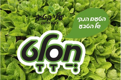 אילוסטרציה